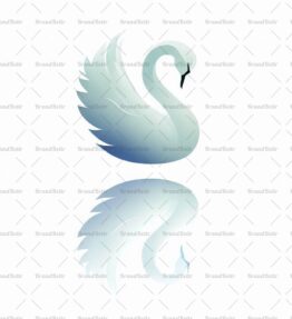 Anmutiger Schwan und Spiegelung